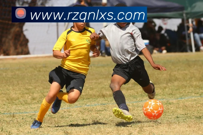 开云线上登录平台入口发展历程